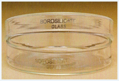 Petridish Glass Borosilicate